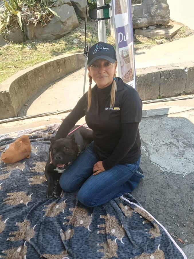 Disminuyen donaciones a albergues de perros y gato en víspera de Semana Santa