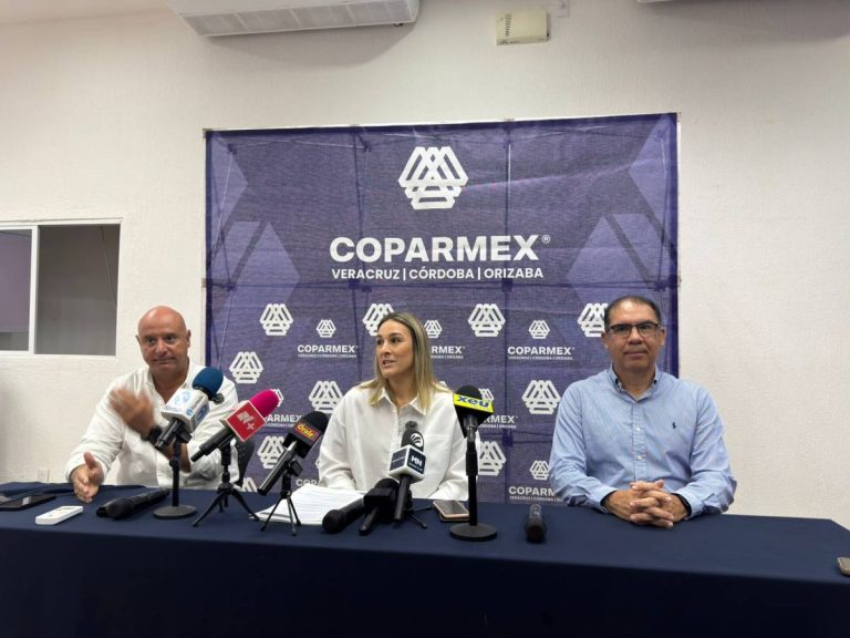 Regidora de Boca del Río confirma que ciudad no es apta para personas con discapacidad