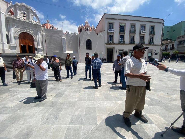 Productores de café de Coatepec denuncian abandono institucional y demandan apoyos urgentes para el sector