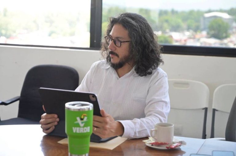 Marcelo Ruiz busca erradicar afectaciones a bosques de niebla en Veracruz
