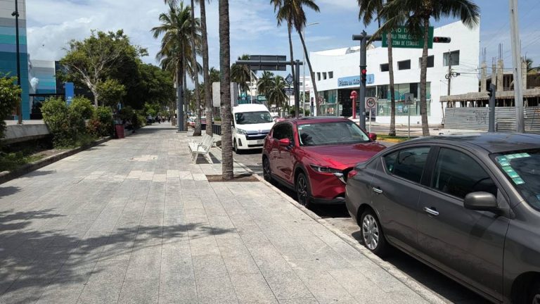 Instalan parquímetros en zona de Villa del mar para frenar abuso de franeleros