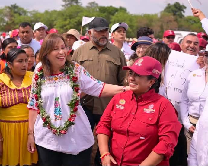 Veracruz impulsa la restauración forestal con 370 mil nuevos árboles