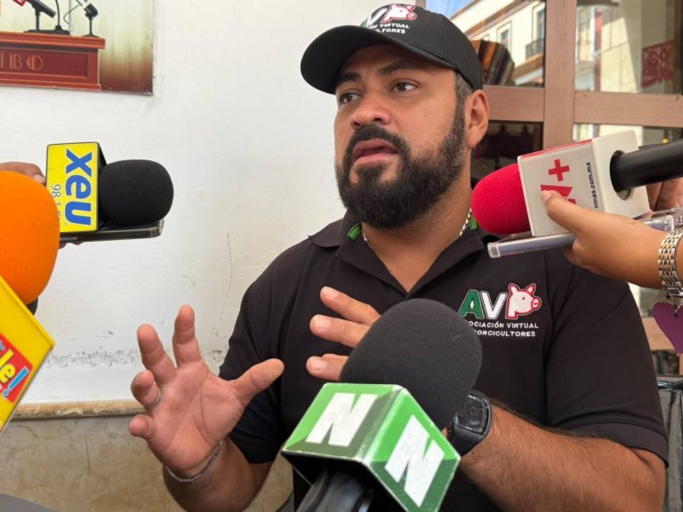 Reportan crisis de porcicultores en Veracruz, operan en números rojos por altos costos e importaciones