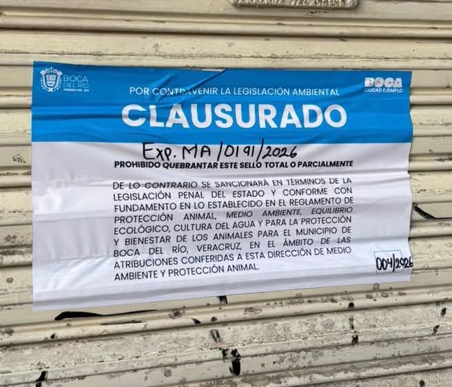 Clausuran sucursal de Súper Chuchins en Boca del Río; empresa califica la medida de injusta y arbitraria